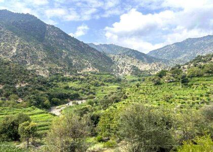 5 individuals wounded in Kunar explosion